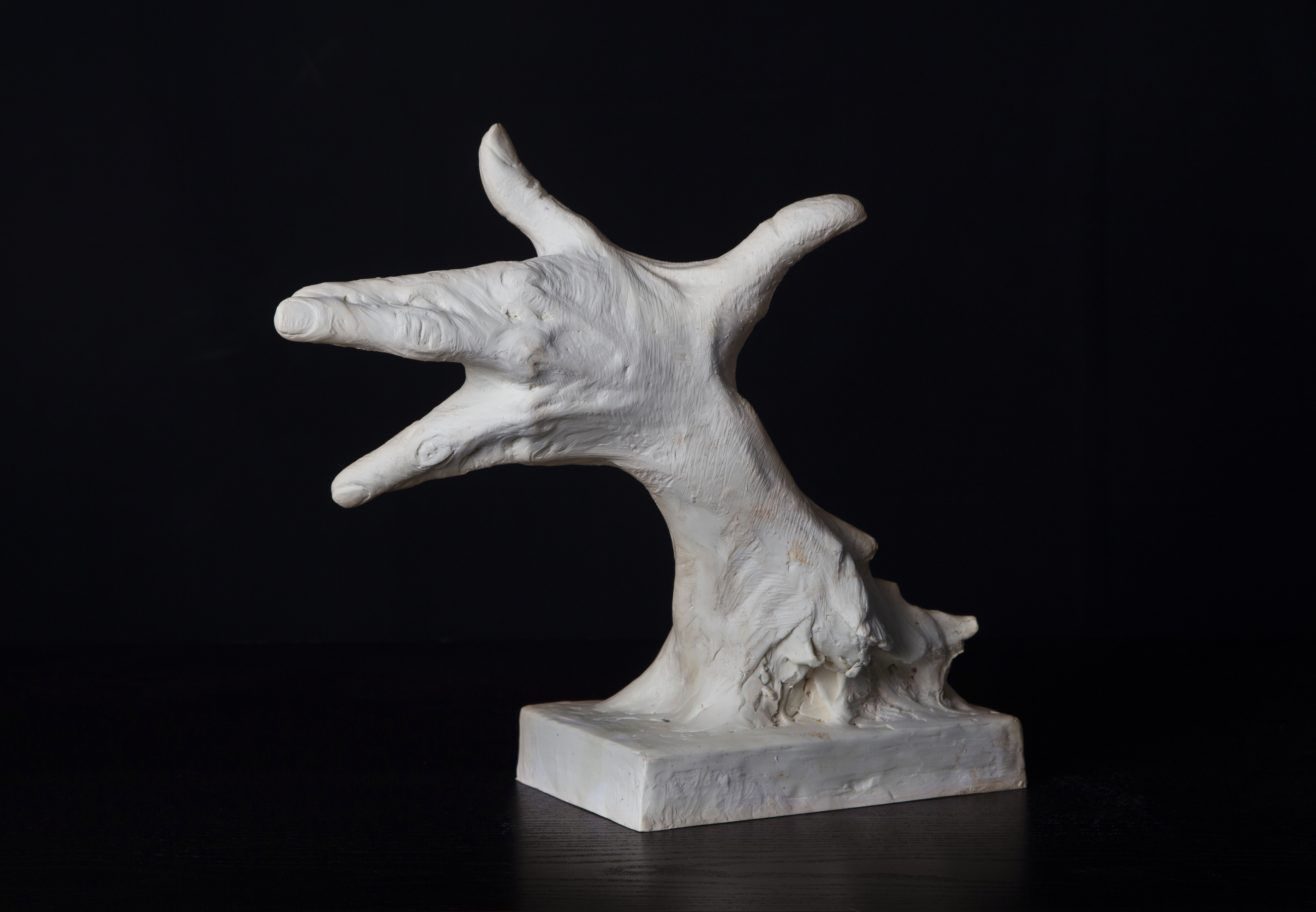 Metamorfoz I / Kompozit / 37x32xx14 cm / 2021